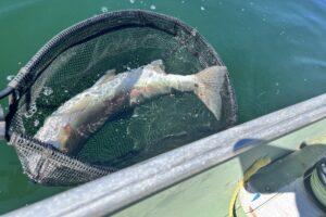 What Makes A Fishing Trip One For The Books?