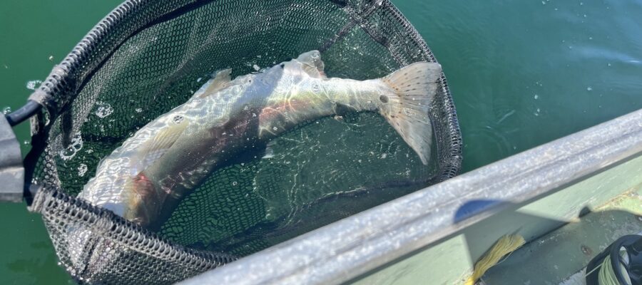 What Makes A Fishing Trip One For The Books?