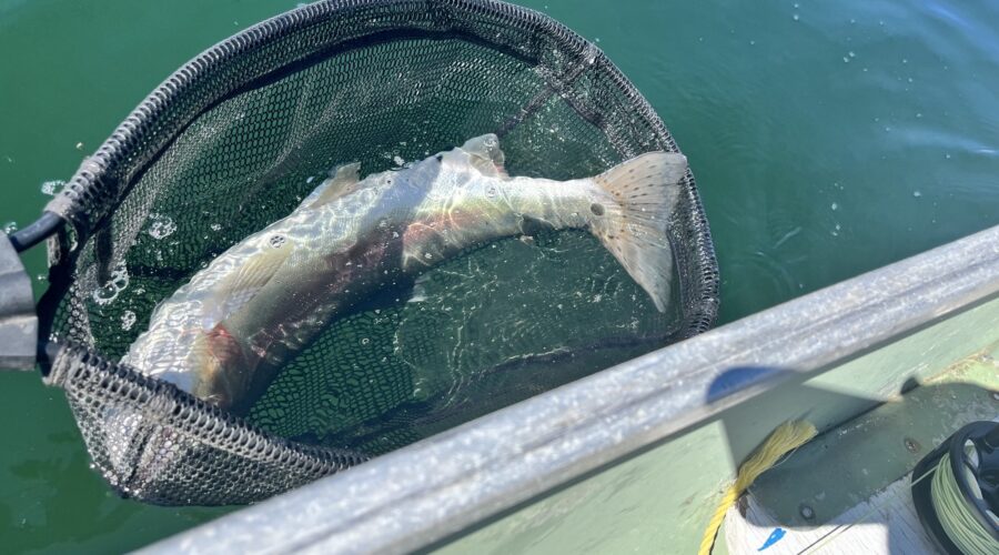 What Makes A Fishing Trip One For The Books?